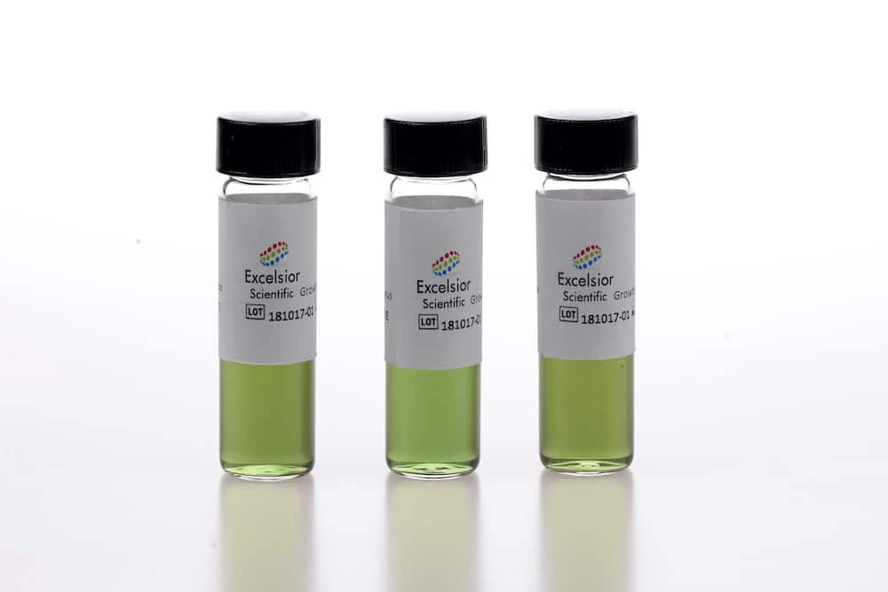 Milieux de culture pour Bacillus atrophaeus