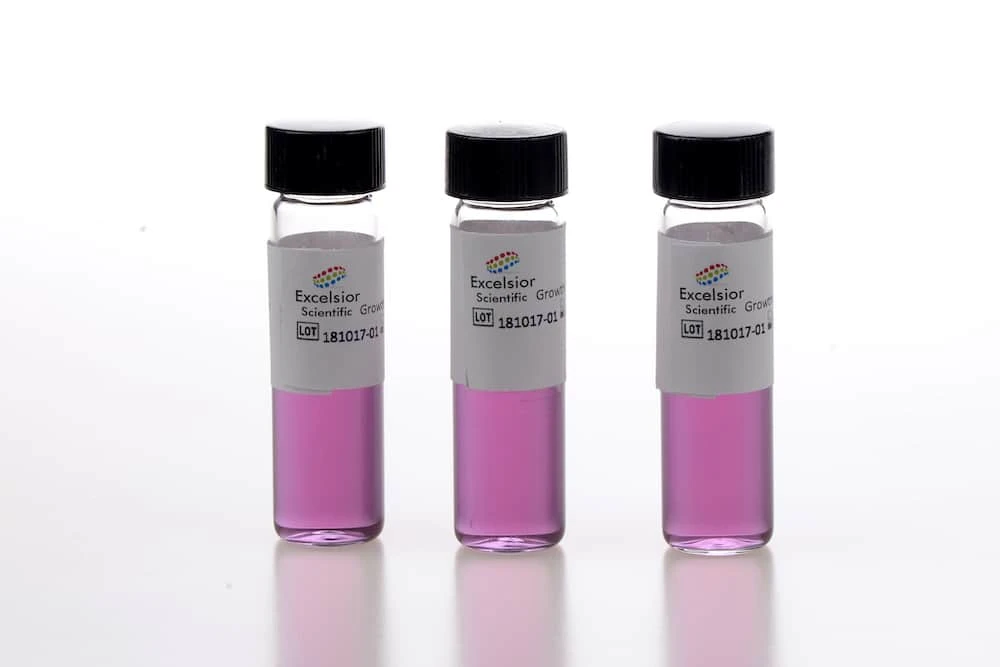 Milieux de culture pour G.stearothermophilus